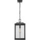 Oakland 1 Light 10.5 inch Powder Coated Black Outdoor Hanging Lantern